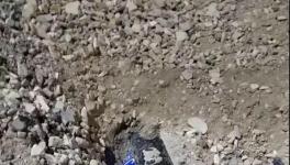 大貨車闖紅燈側(cè)翻!小車瞬間被埋!致3人死亡！