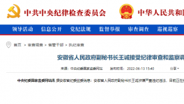 突發(fā)！海螺原董事長被查！