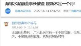 海螺蒸發(fā)1300億，逾700億元投資或存變數(shù)！