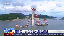 央視新聞報(bào)道：中國(guó)建材專業(yè)化整合成效經(jīng)驗(yàn)交流！