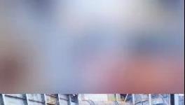 殺公雞！開窯！水泥廠“辟邪”！