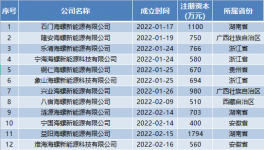 瘋狂！海螺成立96家“能源”公司！