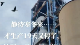 全停！最長200天！20個省水泥廠停產(chǎn)！