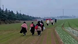 反撲！多省工地停工！水泥廠停發(fā)！商混站“告急”！