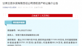 公告！多家水泥廠被賣！