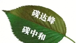 縫出匠心！這家環(huán)保企業(yè)脫穎而出！市場占有率名列前茅！
