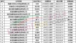 瘋狂！“上下”通吃！海螺連續(xù)成立50多家公司！
