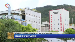 海螺水泥兩家工廠同一天都上電視啦！